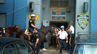 Un caballo de la policía causó un gran susto al salir a todo galope por las calles