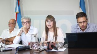 Paraná concentra la mayor cantidad de casos de dengue