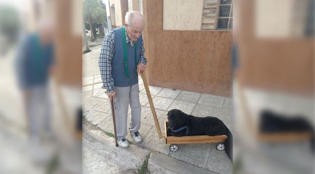 Su perro no puede caminar y le fabricó un carrito