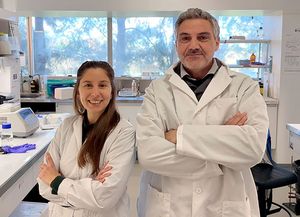 Conicet: desarrollan herramienta bioinformática para estudiar genoma del parásito del chagas