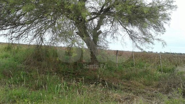 Baleó a su novia, al amigo de ella, escapó y se mató pegándose un tiro en la cabeza