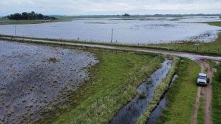 La Comisión Provincial de Emergencia Agropecuaria recomiendan declararla en 16 localidades