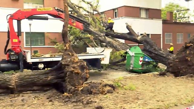 Los árboles se cayeron en una de las paredes laterales del hospital