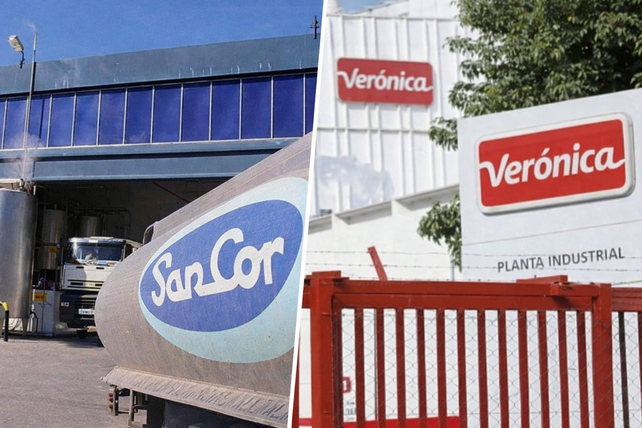 Producción récord y empresas al borde del colapso: la paradoja de la lechería en Santa Fe