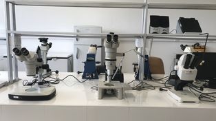 La UNL inaugura tres laboratorios en Ciudad Universitaria