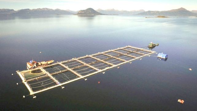 Salmonera. Van a usar la misma tecnología que se utilizó en la Patagonia chilena