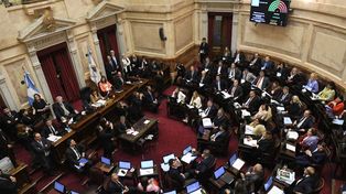 Senado. La Cámara alta votó un nuevo texto de ley de alquileres. &nbsp; &nbsp; &nbsp; &nbsp; &nbsp; &nbsp; &nbsp; &nbsp; &nbsp; &nbsp;