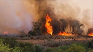 Incendios en Entre Ríos
