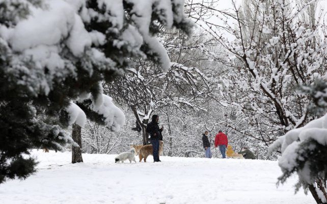 La gente pasea a sus perros en la nieve en el parque Seymenler, en Ankara, Turquía. Ráfagas de principios de primavera cubrieron de nieve partes de la ciudad más grande de Turquía, Estambul.