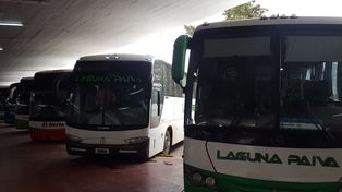 Transporte: desde el lunes se retoma el servicio interurbano