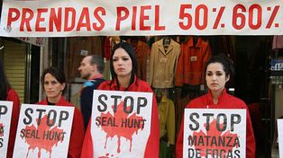 Se desnudan para protestar contra la caza de focas