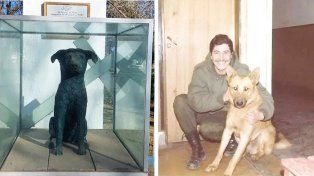 Tom y Mortero, fueron dos perros civiles que se convirtieron en símbolos de unión, protección y coraje en el frente de batalla, durant ela Guerra de Malvinas
