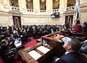 Jubilaciones, Moratoria, discapacidad, ATN y Coparticipación, sesión del Senado con agenda adversa para el Gobierno