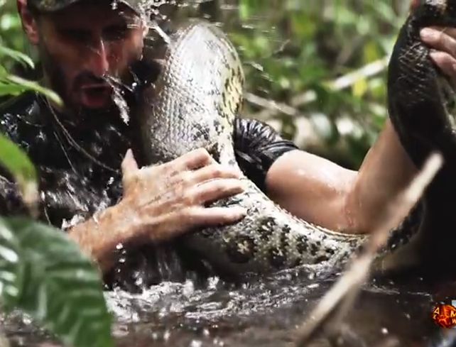 Un explorador se dejará comer vivo por una anaconda para un mostrarlo en un documental