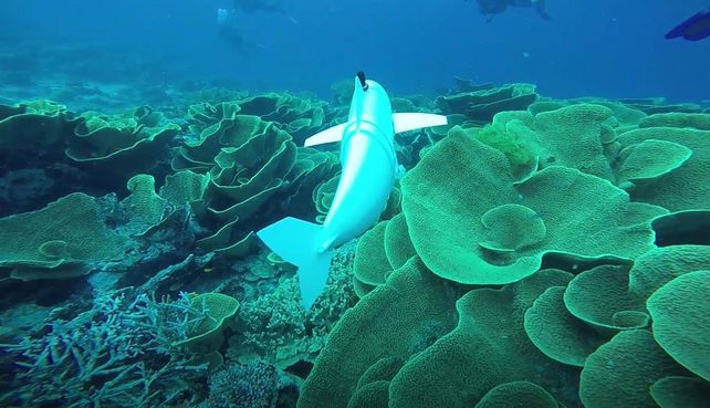 Un pez robótico para investigar el fondo de los mares