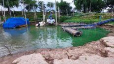 recomiendan no ingresar a zonas del rio parana donde se detecten manchas verdes en la superficie recomiendan no ingresar a zonas del rio parana donde se detecten manchas verdes en la superficie