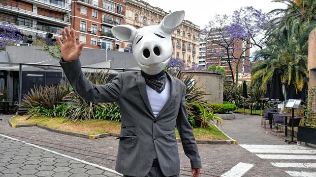 El hombre cabeza de chancho, protagonista de las elecciones