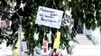 Un árbol de medicamentos: la curiosa y creativa forma de protesta de los jubilados en Santa Fe