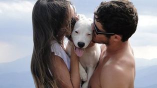 El perro es el tercero en discordia por el que cada vez más parejas deciden separarse
