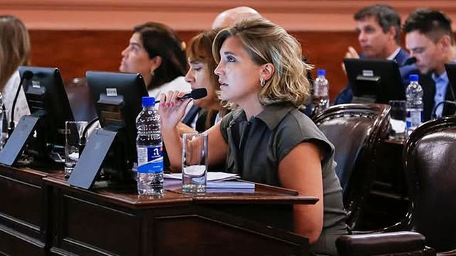 El Senado debatirá este miércoles en comisión el proyecto de ficha limpia y asumirá Stefanía Cora en lugar del ex senador Edgardo Kueider