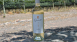 Día del Sauvignon Blanc: frescura que se celebra en todo el mundo
