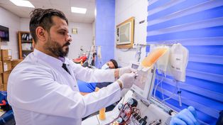 Tres estudios argentinos sobre plasma llegaron a conclusiones muy diferentes