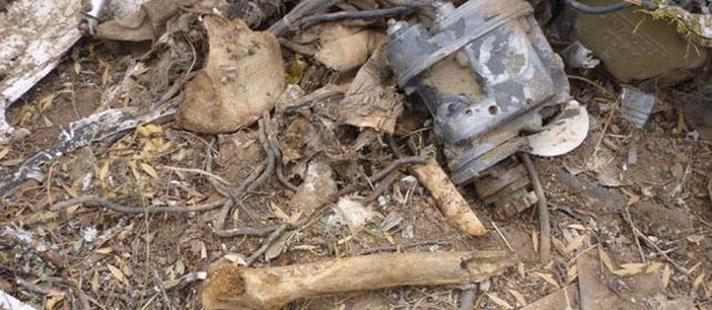 Varios leñadores que trabajaban en un desmonte descubrieron partes de un Piper A28 y restos óseos