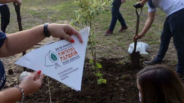 Las escuelas se sumaron a la campaña Plantemos Memoria.
