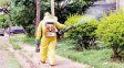 misiones tuvo 450 casos de dengue en los ultimos 30 dias