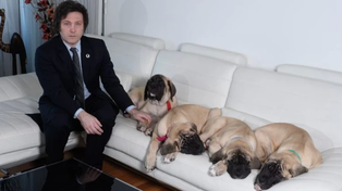 Los motivos por los que Javier Milei debe mudarse a Olivos antes del 10 de enero sí o sí