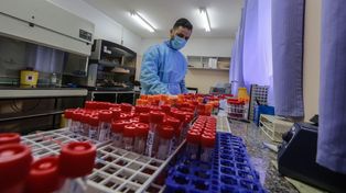 Hubo 6.981 nuevos casos de Covid-19 en Argentina y 165 víctimas fatales