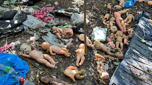 Muñecos de bebés fueron descubiertos en la reserva natural de Villa Gobernador Gálvez
