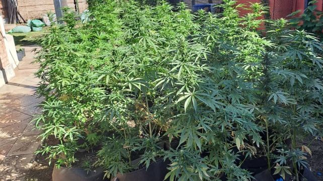 Allanamientos por droga en Paraná y Oro Verde: el valor de lo secuestrado asciende a un billón de pesos