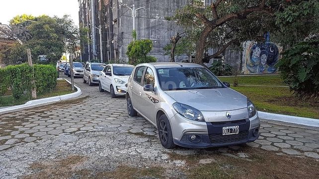 La curva nacional se ameseta, pero con números altos de contagios y muertes