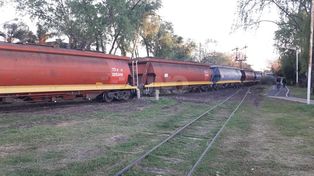 Otra vez descarriló un tren