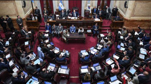 El Senado debate la reforma de Salud Mental: internaciones no voluntarias y adicciones como enfermedad