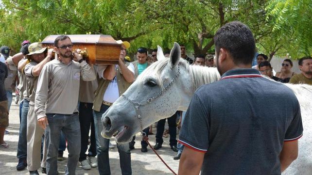 Sereno, el caballo que lloró durante la despedida de su jinete