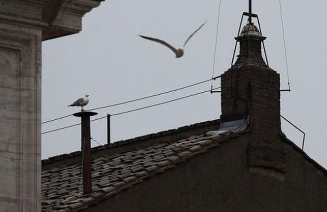 La gaviota pasó un largo rato en lo alto de la chimenea de dos metros poco antes de la fumata vespertina del segundo día de cónclave.