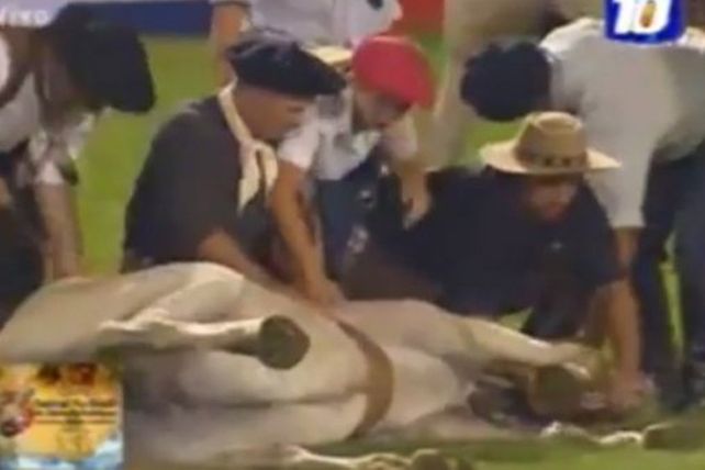 Muere otra yegua en el Festival de Doma de Jesús María
