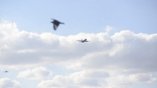 Aviones Hércules, entre otros prototipos, realizaron ensayos previos al desfile aéreo del Día de la Bandera.