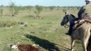 Los productores damnificados son de Chajarí.