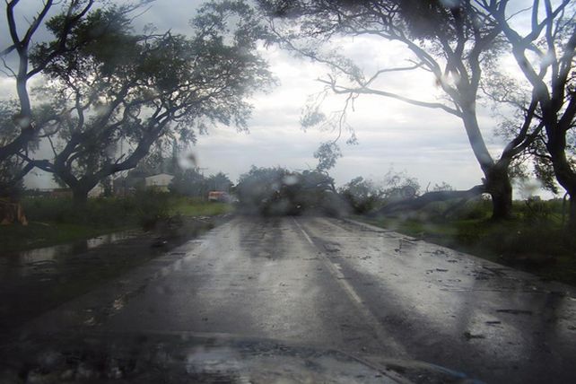 Humboldt: una cola de tornado cortó cables, voló techos y derribó árboles
