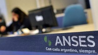 Anses: Complemento Mensual para el Salario Familiar