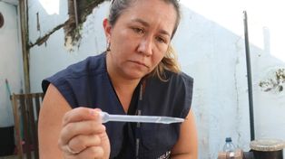 Una trabajadora de salud sostiene una pipeta con una larva del mosquito Aedes aegypti en medio del brote de dengue, en San Pablo.