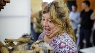 Cronograma de castraciones gratuitas