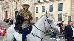 El Congreso colombiano se declaró pet-friendly y un senador entró a caballo