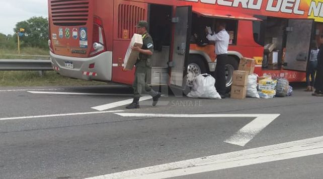 Imágenes del operativo.