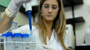 La bioeconomía busca su lugar como modelo industrial en el país.
