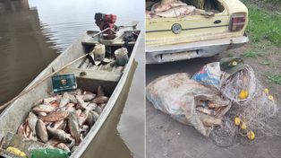 Alarma en el río Paraná. El gobierno santafesino prohibió el acopio de pescado para exportar