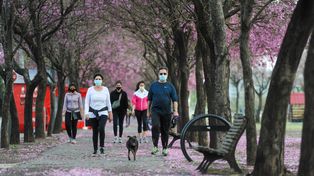 Los consejos de los infectólogos argentinos para vivir en la nueva normalidad